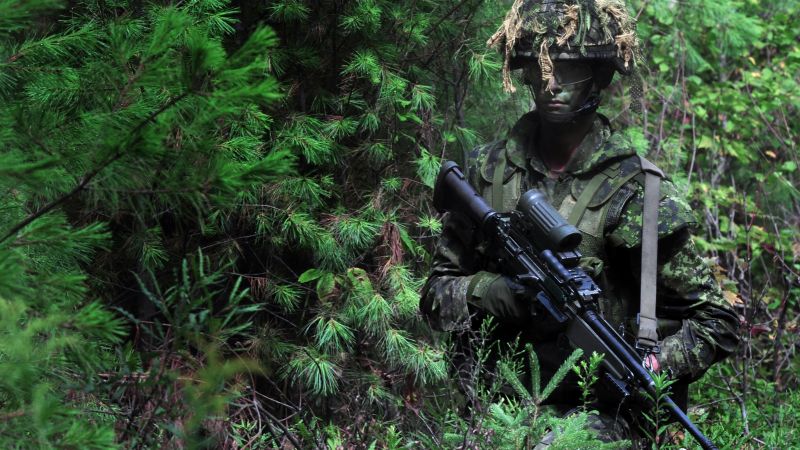 soldier, U.S. Army, assault rifle, camo, scope (horizontal)