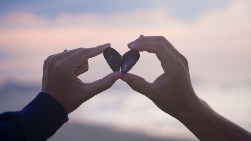 love image, heart, 5k, hands (horizontal)