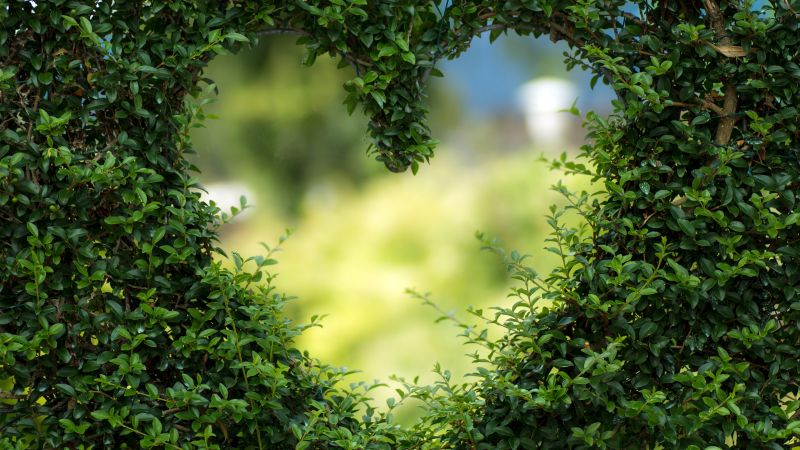 love image, heart, 4k, grass (horizontal)