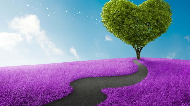 love image, heart, tree, 5k (horizontal)