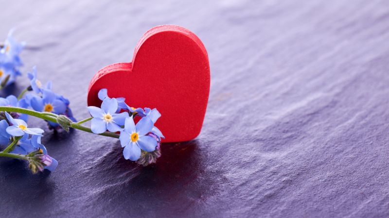 love image, heart, flower, 4k (horizontal)