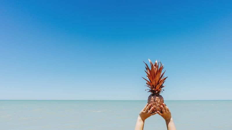 pineapple, sky, ocean, 5k (horizontal)