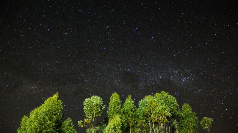 night, stars, sky, trees, 4k (horizontal)