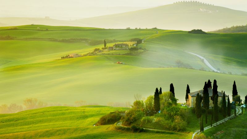 Meadows