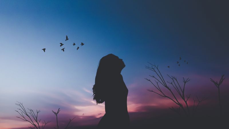 Girl, Silhouette, Shadow, 4K (horizontal)