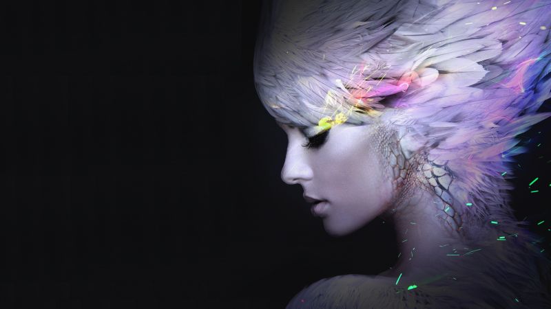 Girls Illustrations Wallpapers