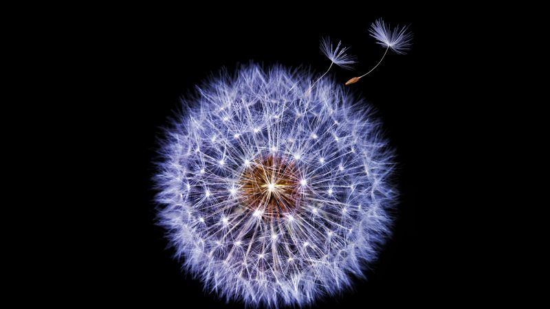 Samsung Galaxy S9, Android 8.0, Android Oreo, abstract, colorful, HD (horizontal)