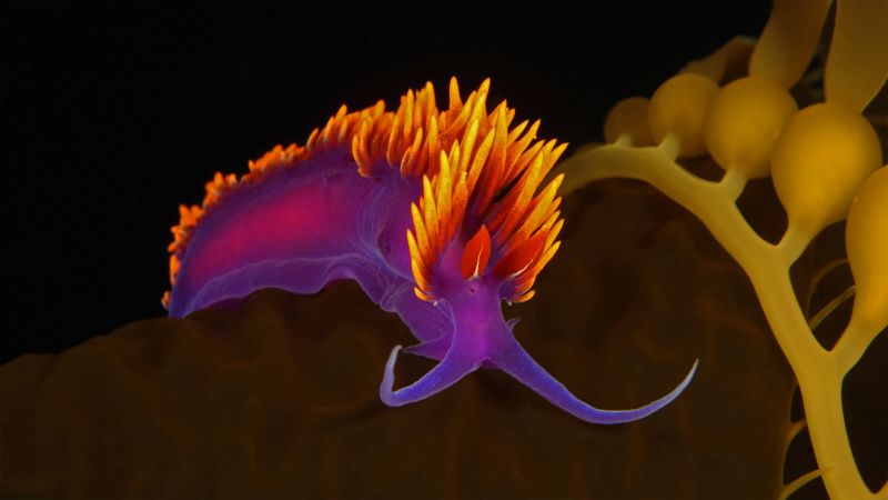 colorful, abstract, dark, 4K (horizontal)