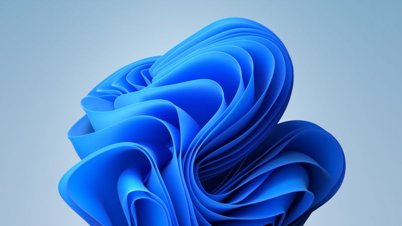 Windows 11 Wallpapers