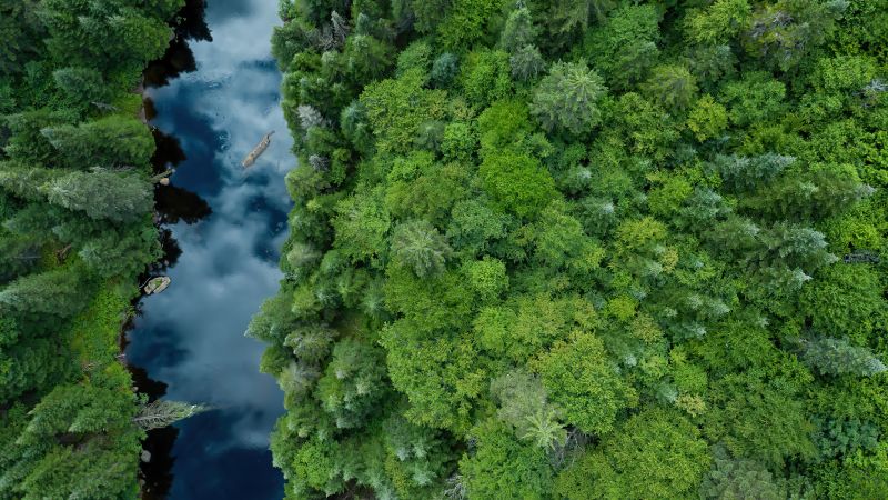 river, forest, trees, green, Canada, 4K (horizontal)