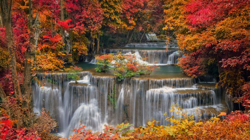 Bing, Windows 10, Microsoft, autumn, 5K (horizontal)