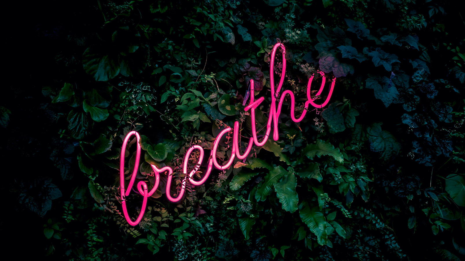 Motivational Quotes