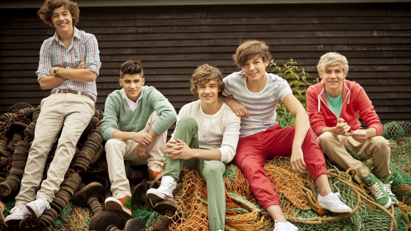 One Direction, Top music artist and bands, Liam Payne, Niall Horan, Louis Tomlinson, Harry Styles, Zayn Malik (horizontal)