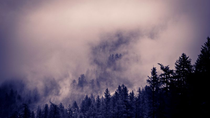Alps, 5k, 4k wallpaper, 8k, Clouds, forest, pines (horizontal)