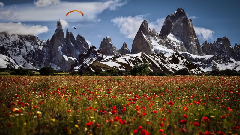 Uetliberg, 5k, 4k wallpaper, Switzerland, Mountains, meadows, poppy (horizontal)