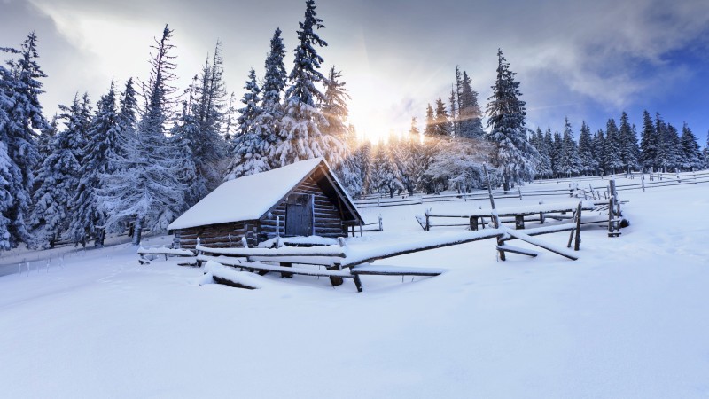 winter forest, 5k, 4k wallpaper, 8k, mountain, sun, snow, fir-trees, village, house,  (horizontal)