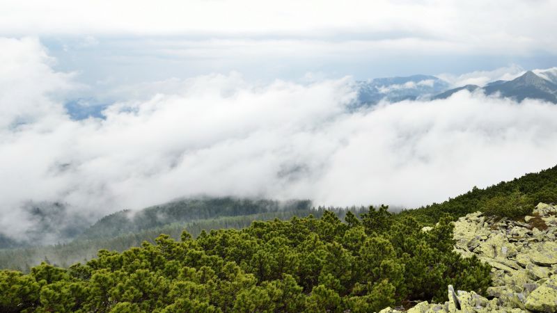 Ukraine, 5k, 4k wallpaper, Transcarpathia, clouds, mountains, bushes, rocks (horizontal)
