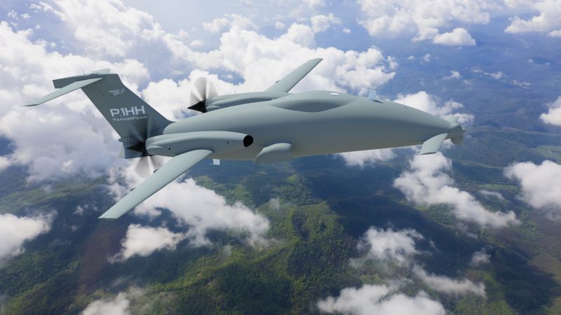 Piaggio P.1HH Hammerhead, drone, Italian army, Italy (horizontal)