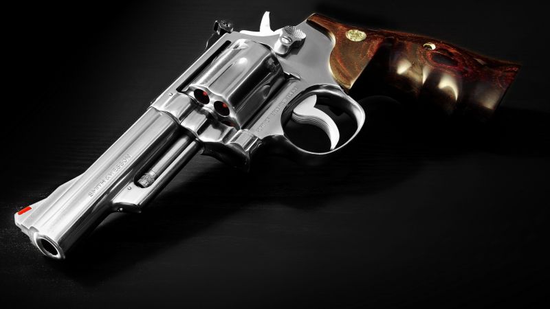Smith and Wesson, S&W, 629-4, 8 3/8, 44 Magnum (horizontal)