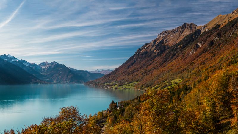 mountains, 4k, 5k wallpaper, 8k, water, lake, forest (horizontal)