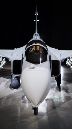 JAS-39E Gripen, fighter aircraft, Swedish Air Force (vertical)