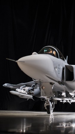 JAS-39E Gripen, fighter aircraft, Swedish Air Force (vertical)