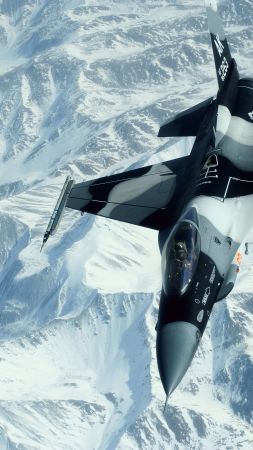 General Dynamics F-16 Fighting Falcon, fighter aircraft, U.S. Airforce (vertical)