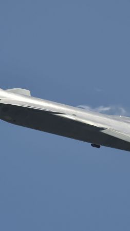Shenyang J-20, China army, fighter aircraft, China air force (vertical)