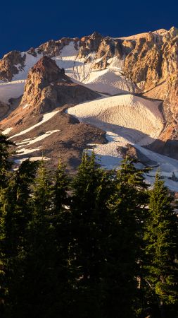 Mountains, 4k, HD wallpaper, snow, forest (vertical)