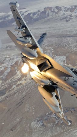 Boeing EA-18 Growler, Electronic Attack Aircraft (vertical)