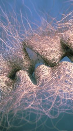 love image, kiss, 4k, veins (vertical)