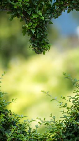 love image, heart, 4k, grass (vertical)
