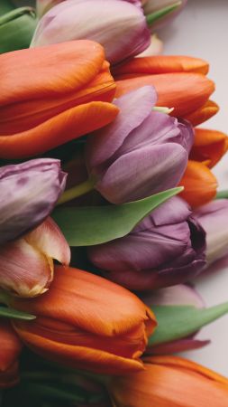 love image, flowers, 5k (vertical)
