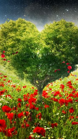 love image, heart, HD, tree (vertical)