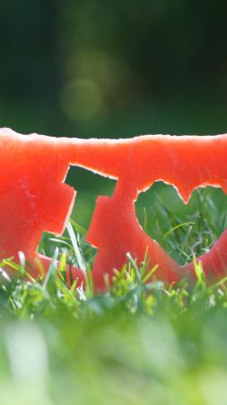 love image, watermelon, grass, 4k (vertical)