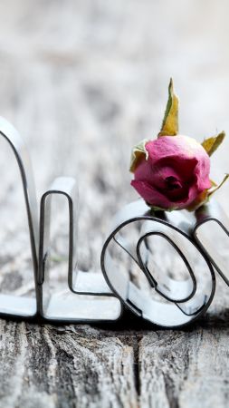 love image, heart, rose, 5k (vertical)