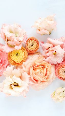flowers, 5k (vertical)