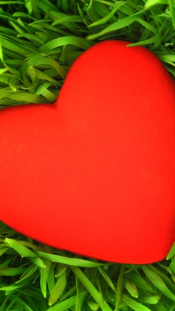love image, heart, grass, 5k (vertical)