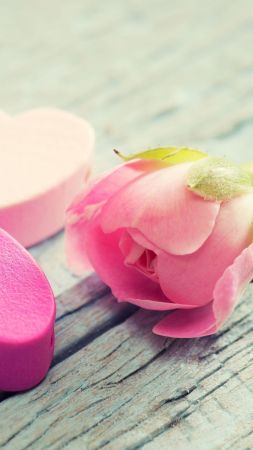 love image, heart, rose, flower, 4k (vertical)