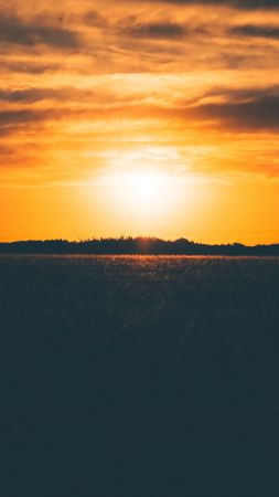 sunset, field, 5k (vertical)