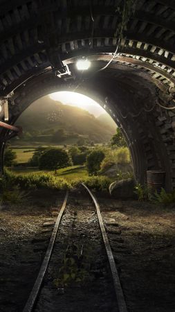 tunnel, nature, 4k (vertical)
