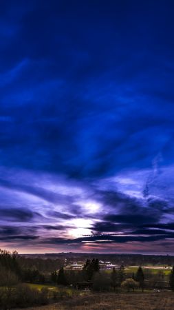sunset, sky, forest, 8k (vertical)
