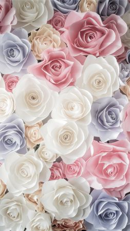 flowers, rose, 5k (vertical)