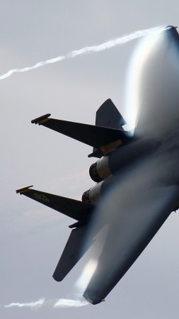 F-15, tactical fighter, Eagle, McDonnell Douglas, USAF, U.S. Air Force, aircraft (vertical)