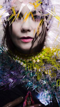 Bjork, photo, 4k (vertical)