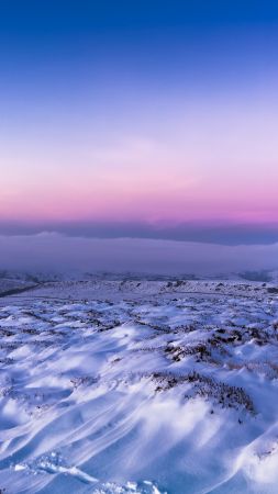 field, snow, winter, 4k (vertical)