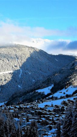 mountains, snow, winter, forest, 4k (vertical)