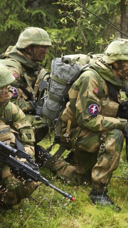 Norwegian Army, Norwegian Armed Forces, soldier, camo, mission, rifle, forest (vertical)