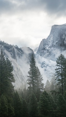 Yosemite, 5k, 4k wallpaper, 8k, forest, OSX, apple, mountains (vertical)