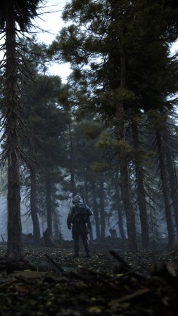 S.T.A.L.K.E.R. 2, screenshot, 4K (vertical)